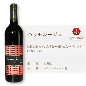 ワイン 原茂ワイン6本セット（MG）H-670