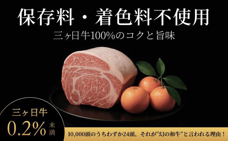 次元ハンバーグ120g×12個 【配送不可：離島】金乃縁 ハンバーグ 冷凍 国産 三ヶ日牛 牛肉 トリュフ風味 ギフト 冷凍食品 惣菜 静岡 浜松市