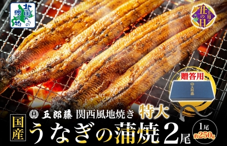 【土用の丑の日までにお届け】五郎藤 関西風地焼き 国産有頭旨鰻 250g×2尾 計約500g 【贈答用 特大 うなぎ ウナギ 蒲焼き 炭火】