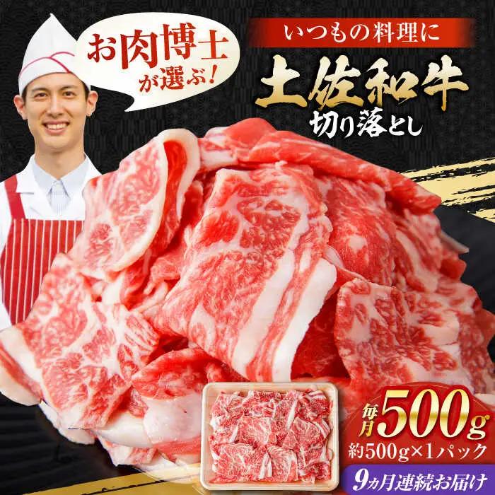 【9回定期便】高知県産 土佐和牛 切り落とし 総計約4.5kg / 牛肉 切り落とし 国産牛肉 牛肉すきやき 牛肉 切り落とし 国産牛肉 牛肉すきやき [ATAP101]