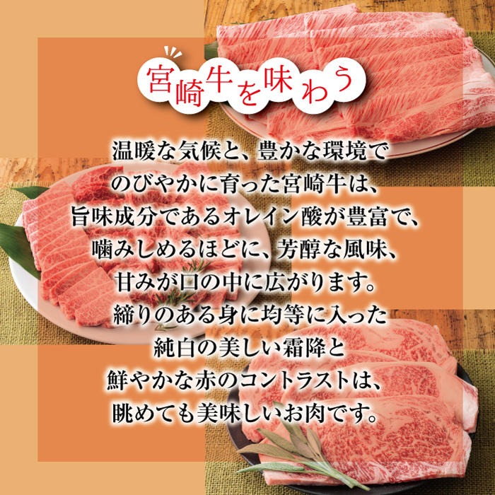 厳選 宮崎牛焼肉用500g 　 TF0556