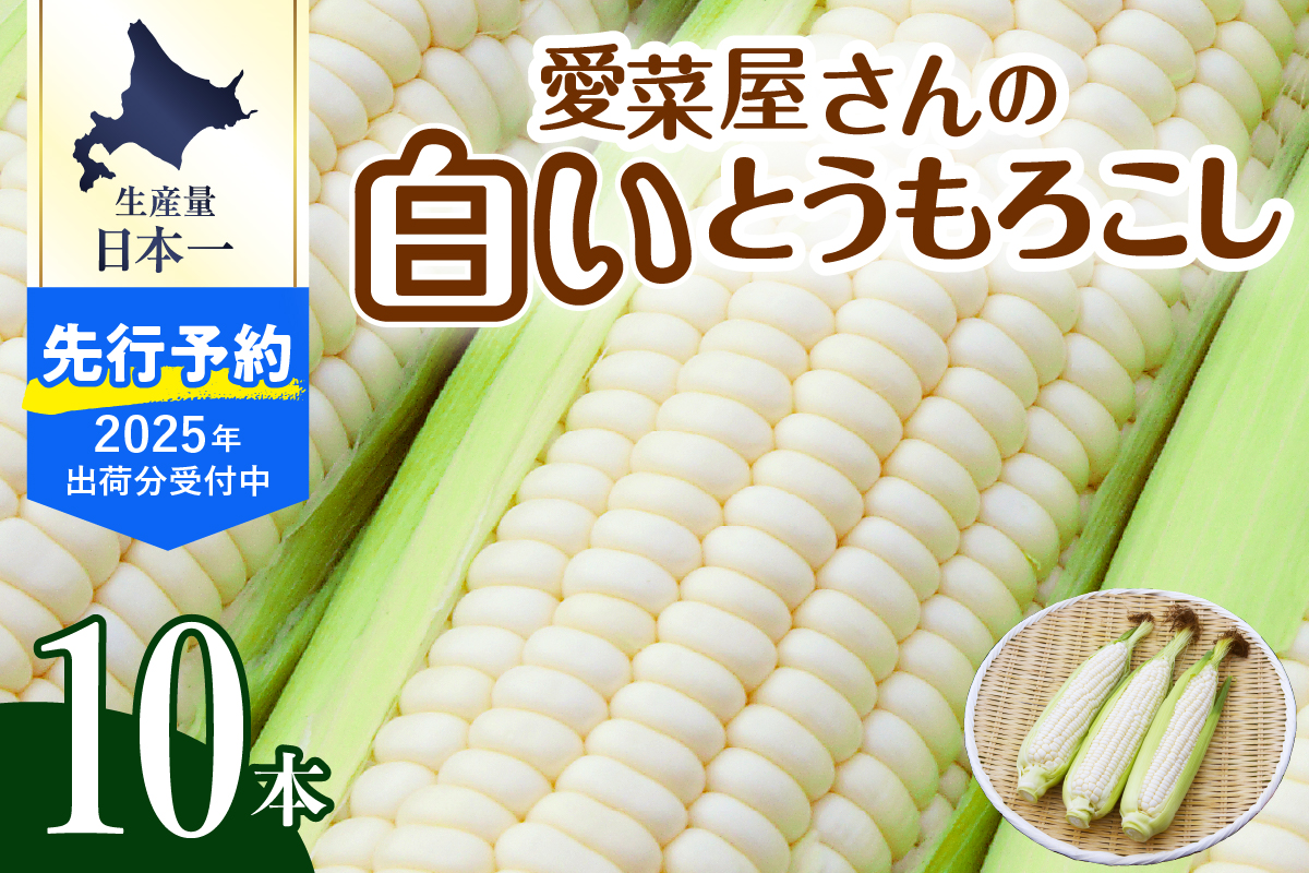 【先行予約】【2025年産】北海道十勝芽室町 とうもろこし 10本 ホワイト種 me002-005c-25