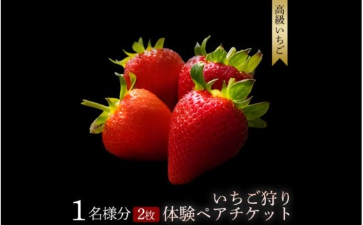 【体験】 【開催期間 2027年1月1日～5月7日】 いちご狩り体験チケット ( 2名様分) ペアチケット  【maato002B】