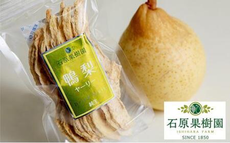石原果樹園 純生 ヤーリー梨 ドライフルーツ 15袋（1袋30g）