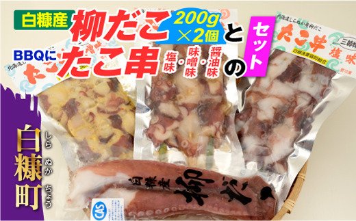 「しらぬか産柳だこ」とBBQに「たこ串(塩味・味噌味・醤油味)」のセット