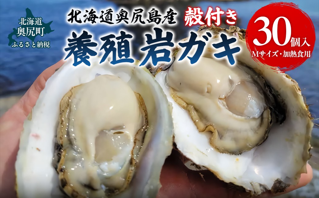 
            【先行予約 2025年7月20日より発送】奥尻島産養殖岩ガキ【Mサイズ】殻付き　30個入り（加熱食用）～豊かな海が育てた海の宝石～ 【 ふるさと納税 人気 おすすめ ランキング 岩ガキ 牡蠣 かき カキ 蒸しガキ カキフライ バター焼き 鍋 北海道 奥尻町 送料無料 】 OKUY003
          