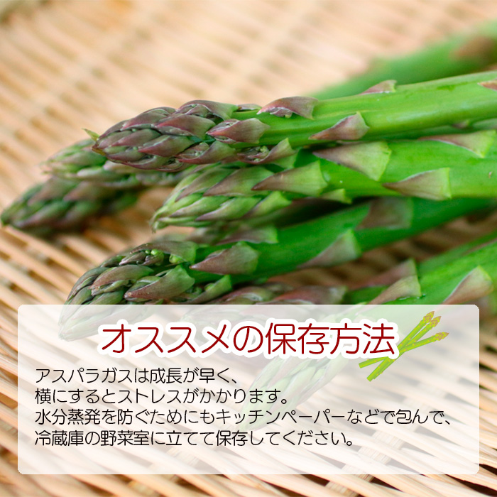 【早期予約承り中！2026年1月発送開始予定】甘い！ 朝採れ グリーンアスパラガス 600g （200g×3束） ／ 産地直送 農家直送 アスパラ 野菜 【田村和大】