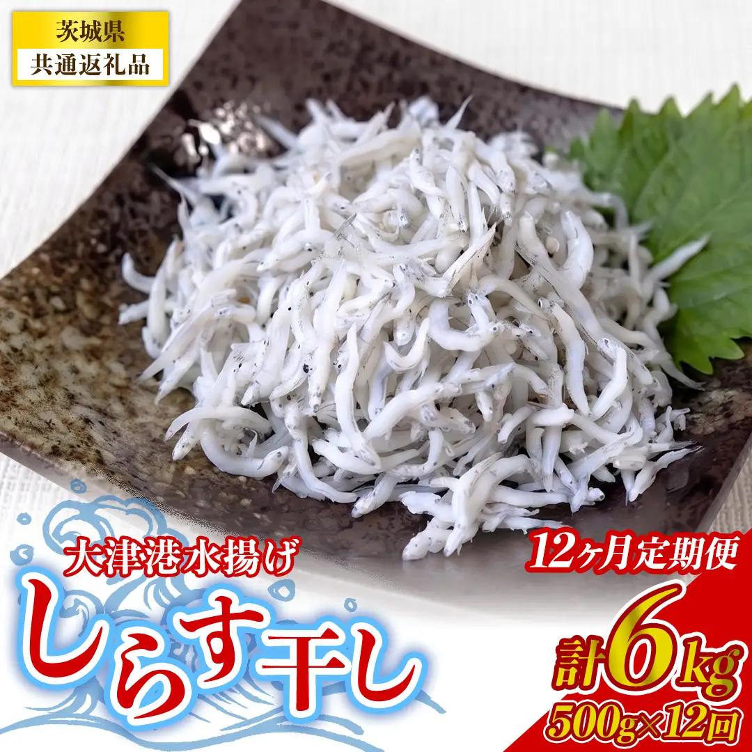 【12回定期便】大津港水揚げしらす干し 500g(250g×2パック) (茨城県共通返礼品:北茨城市) [BC013]