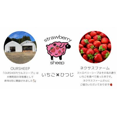 ふるさと納税 大熊町 【8月下旬より発送】国産羊肉 ストロベリーシープ 280g |  | 02