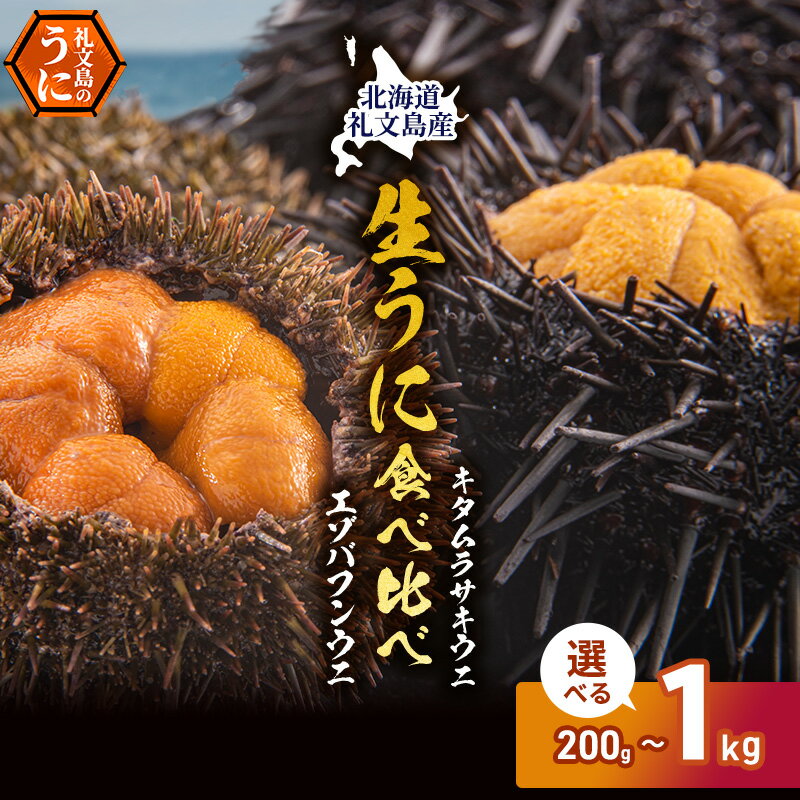 【ふるさと納税】容量が選べる　北海道 礼文島産 採れたて 生うに 塩水パック 豪華食べ比べ 200g～1kg（ エゾバフンウニ キタムラサキウニ ）ミョウバン不使用［株式会社やまじょう］【 うに ウニ 雲丹 生うに 塩水うに 】　お届け：2026年6月～8月末まで
