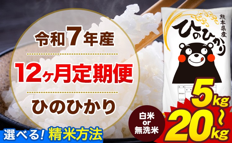 
                  【12ヶ月定期便】令和7年産 無洗米 も選べる 白米 米 ひのひかり 5kg 10kg 20kg《お申込み翌月から出荷》熊本県 菊池市 国産 熊本県産 白米 精米 無洗米 送料無料 ヒノヒカリ こめ お米 
                
