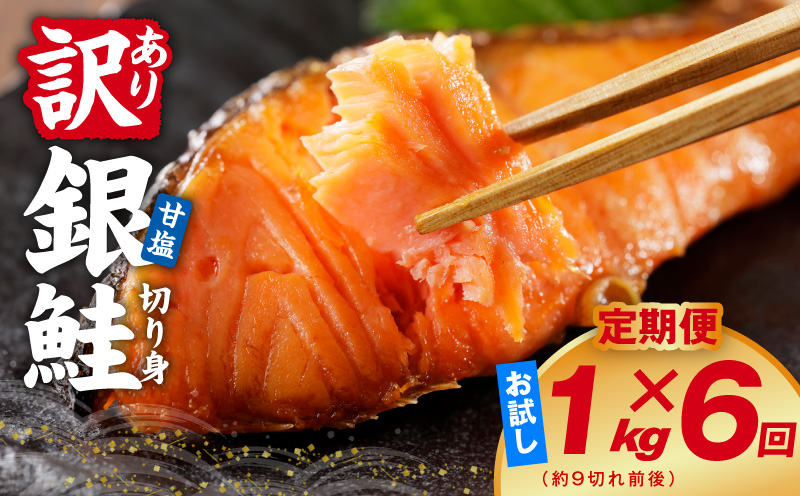 【定期便】銀鮭 切り身 1kg(約9切れ前後) 全6回【訳あり 規格外 甘塩 バラ凍結 海鮮 魚介 鮭 さけ しゃけ お弁当 朝食 おかず 簡単調理 家計応援 大阪 泉佐野 大阪府 泉佐野市】