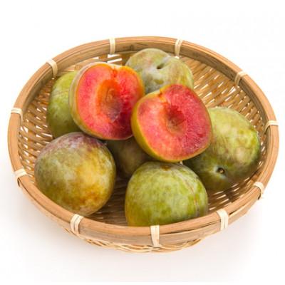 ふるさと納税 南アルプス市 すももソルダム大玉2L~4L　約1.2kg(9〜12玉)