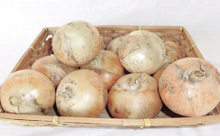 栽培期間中農薬・化学肥料不使用 くりのみ園の玉ねぎ  約4kg ［くりのみ園］ 2026年7月～8月末まで発送［H-88］
