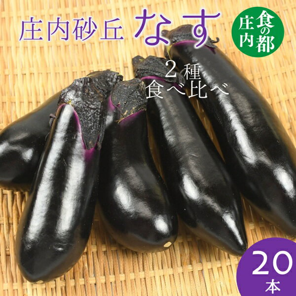 【ふるさと納税】食の都庄内　庄内砂丘なす食べ比べセット計20本　※7月中旬～9月配送（有限会社庄内旬青果）