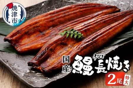 鰻 長焼き 2尾 セット (a18-042)