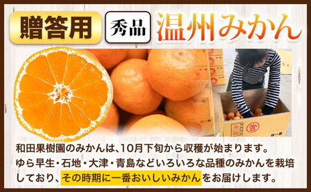 贈答用にもおすすめ 温州みかん 5kg (S～Lサイズ混合) 和田果樹園《11月上旬-2月上旬頃出荷》 和歌山県 紀の川市 みかん ミカン 果物 フルーツ 温州みかん 贈答用 送料無料