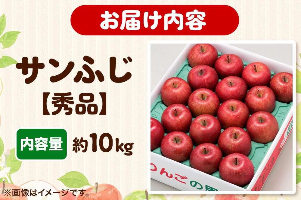 【26年12月発送】りんご サンふじ【秀品】約10kg 糖度13度以上 先行受付 青森県 弘前市 果物 フルーツ 林檎 リンゴ くだもの ギフト 贈り物 [先行予約 産地直送 アップル おいしい 果実