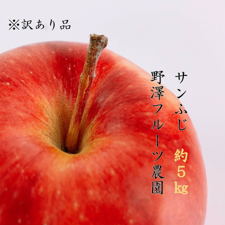 【ふるさと納税】395 先行予約 ※訳あり りんご サンふじ5kg 11月中下旬以降発送【野澤フルーツ農園】