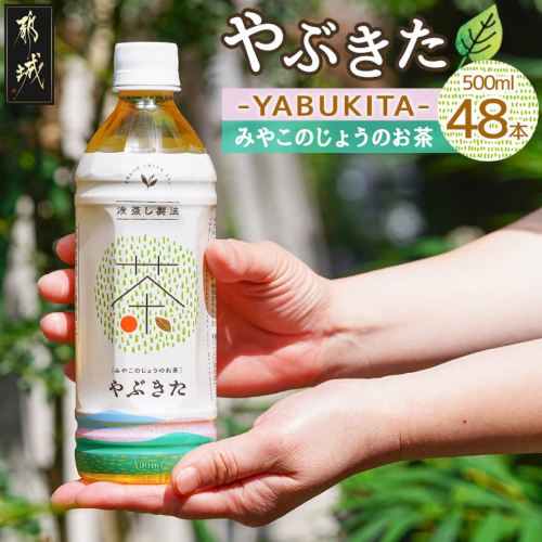 先行受付!【みやこのじょうのお茶】やぶきた500ml×24本(2ケース)≪2026年3月お届け≫_AD-I501
