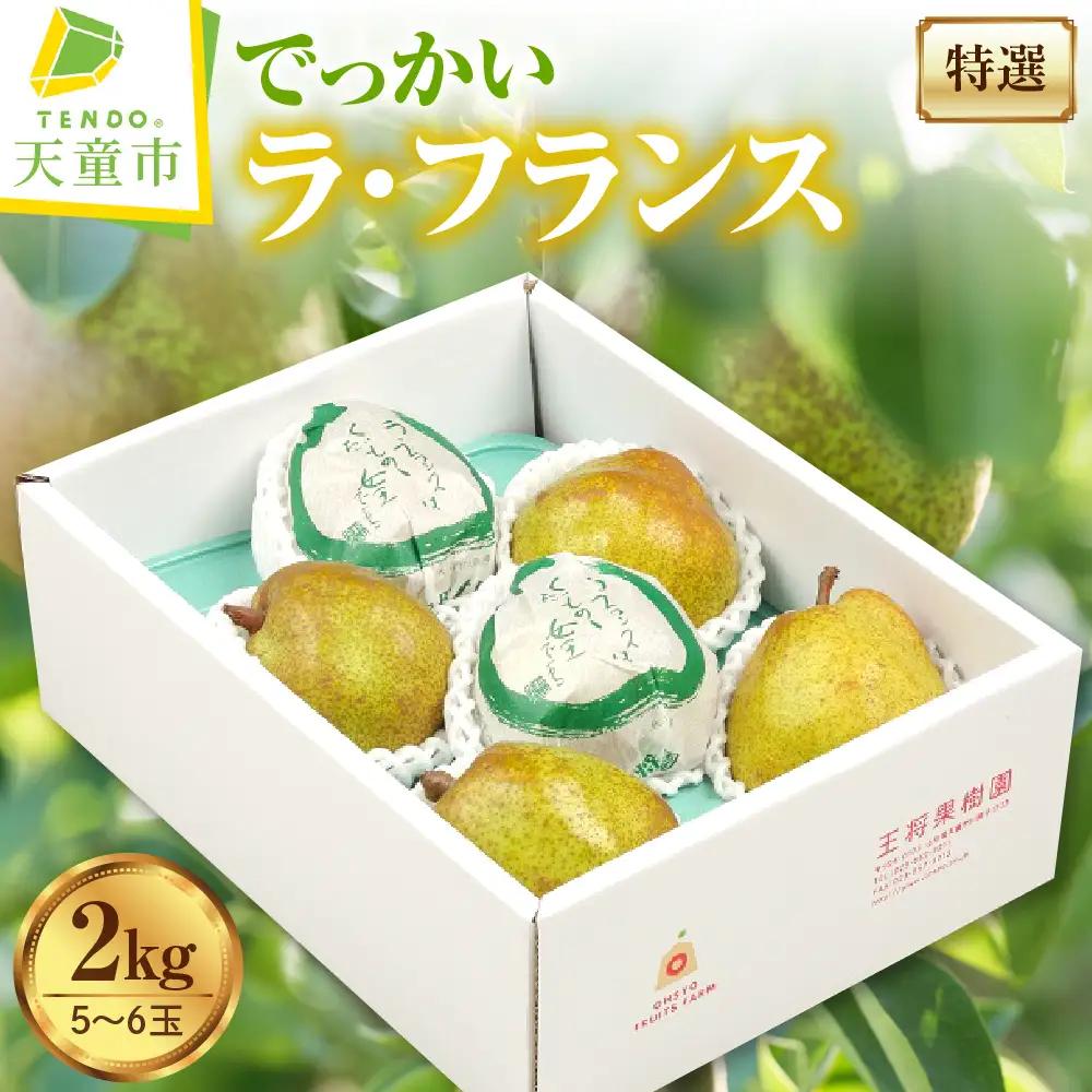 特選 でっかい ラ・フランス 2kg  山形 果物 フルーツ