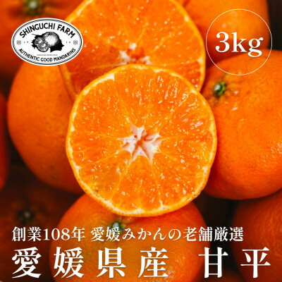 【ふるさと納税】創業百八年 愛媛みかんの老舗【甘平3kg】家庭用【新口農園】【C70-11】_ みかん ミカン 柑橘 フルーツ 果物 くだもの 青果 甘平 かんぺい 産地直送 産直 愛媛 甘い 常温 家庭用 希少 名産地 【1451142】