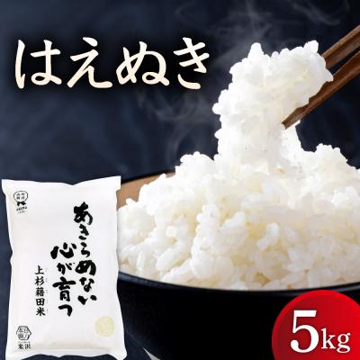 ふるさと納税 米沢市 【先行予約】令和8年産 はえぬき 5kg ( 5kg × 1袋 ) 山形県米沢市