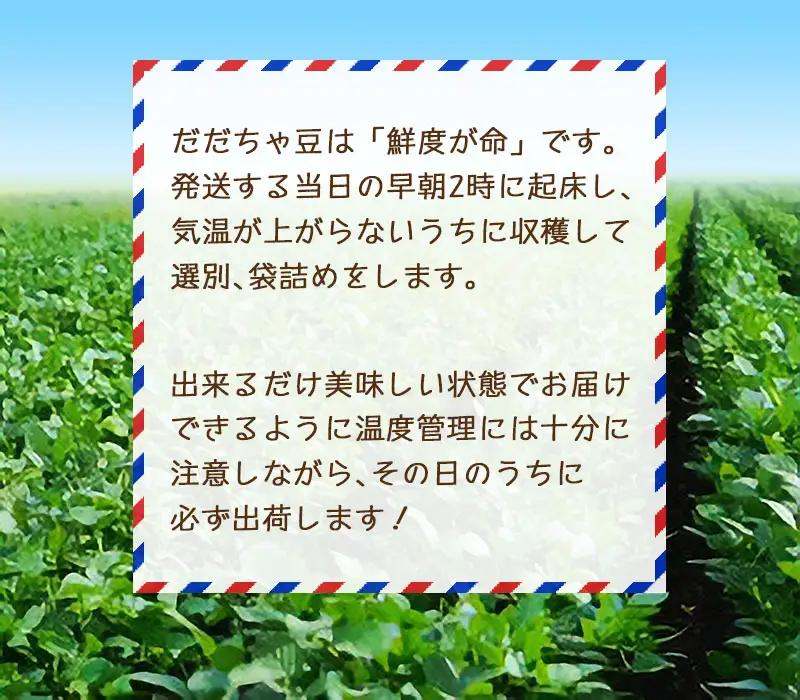【令和8年産先行予約】朝採りだだちゃ豆 【晩生】1.5kg (500g×3袋) 枝豆　小池半左衛門