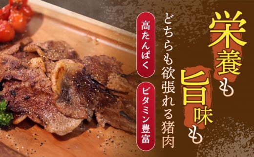 【6回定期便】ジビエ 天然イノシシ肉 肩ロース or ロース スライス500g【照本食肉加工所】 [OAJ043] / 肉 猪 猪肉 イノシシ イノシシ肉 いのしし しし肉 しし鍋 ボタン鍋 ジビエ