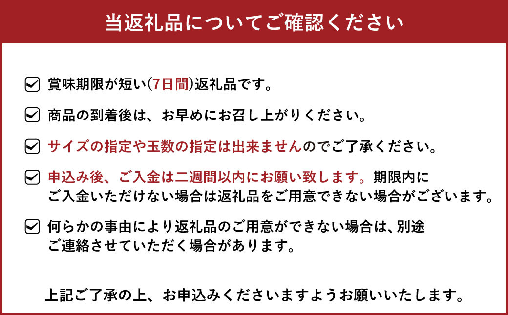  宇城市産 温室ハウス栽培 プレミアム完熟不知火 約3kg 髙橋果樹園【2024年12月下旬から2025年1月下旬発送予定】不知火 しらぬい 柑橘 くだもの 果物 フルーツ