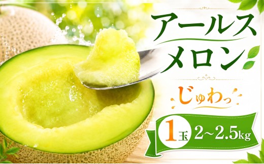 【 アールス メロン 】＼ 生産量 日本一 ！／ アールスメロン （ 1玉 入り1箱）2kg～2.5kg メロンの村田 先行予約 青肉 追熟 産地直送 メロン めろん おすすめ 人気 大きい 定番 ギフト プレゼント 贈り物 国産 フルーツ 果物 茨城 鉾田