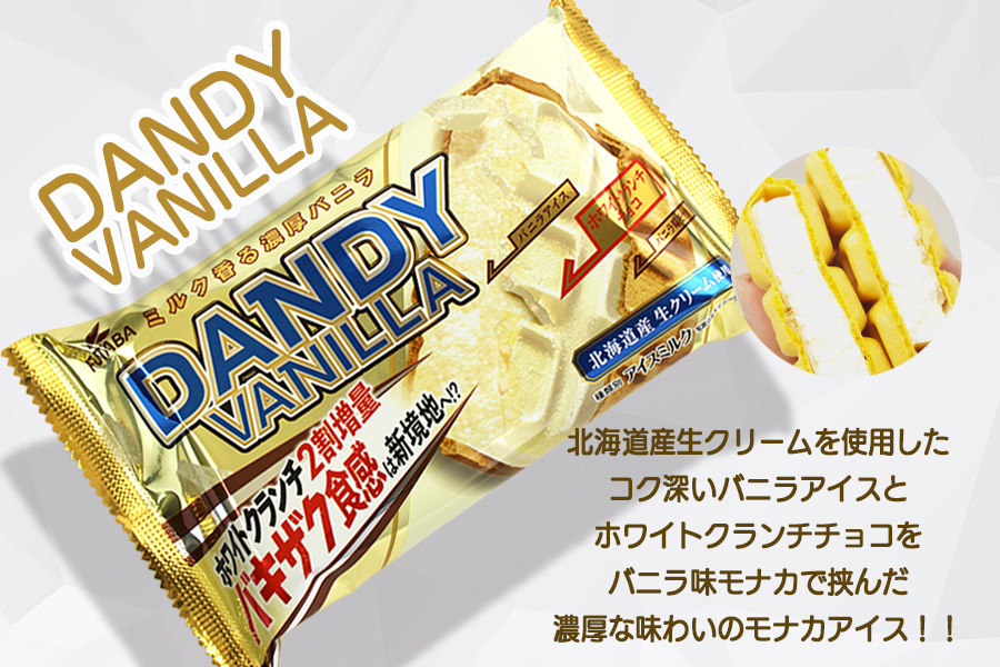 フタバ食品　アイス10個　ダンディーチョコレート＆バニラセット　2種類各5個