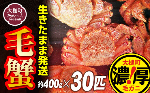 【令和9年発送先行予約】三陸産！活毛ガニセット 400g×30杯【08】【2027年2月～4月発送】