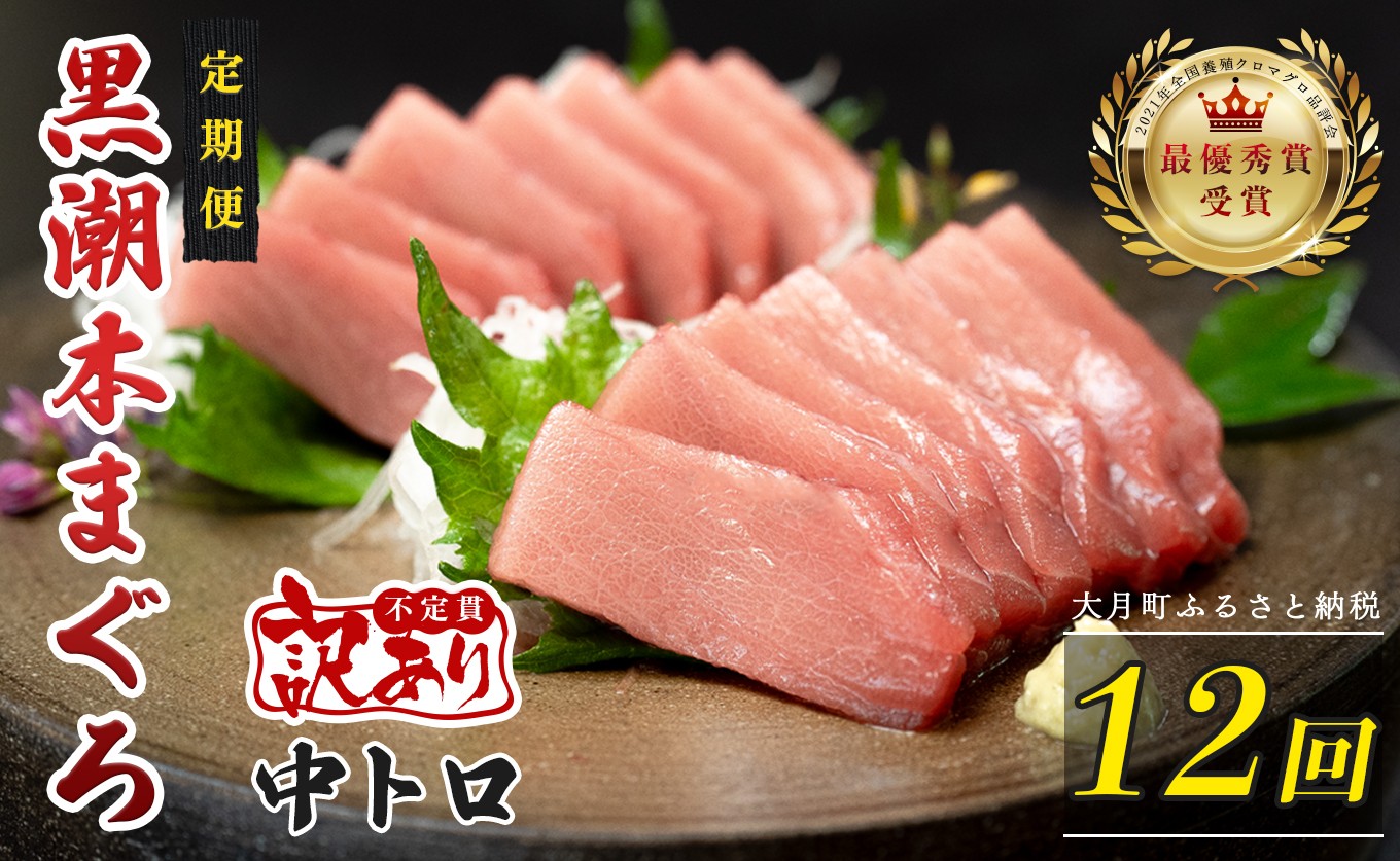 
                  訳あり 不定貫 定期便 12回 国産 養殖本マグロ 中トロ 毎回120g×12回 黒潮本まぐろ 全国養殖クロマグロ品評会 最優秀賞受賞 12ヶ月 12か月 一年 柵 刺身用 本マグロ クロマグロ 本鮪 まぐろ 鮪 お刺身 さしみ トロ 海鮮丼 漬け丼 手巻き寿司 鉄火丼 まぐろ丼 小分け 個包装 真空パック 冷凍 不揃い 家庭用 海鮮 年末年始 高知県 大月町 9万円
                