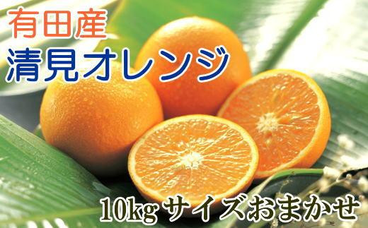 
【濃厚】有田産清見オレンジ約10kg（サイズおまかせ・秀品）★2024年2月上旬頃より順次発送【TM45】
