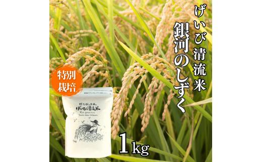 ＜新米先行予約＞令和7年産 特別栽培 銀河のしずく 1kg お米 いわて コメ 精米 ブランド米 米 ご飯 白飯 ごはん お弁当 おにぎり 岩手県 一関市
