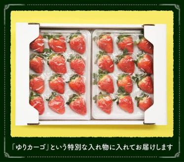 【令和9年発送】大粒さがほのか9~12粒入×2パック 【 国産 イチゴ 苺 果物 くだもの 期間限定 数量限定 】[B04603] 大粒さがほのか9~12粒入×2パック