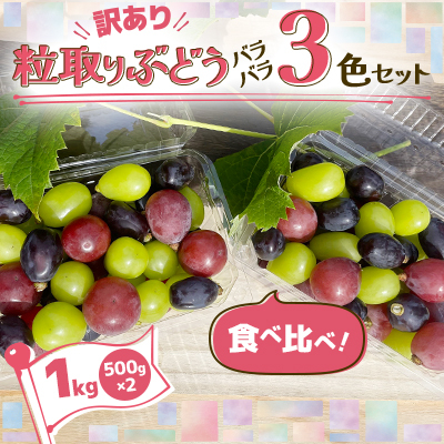 【訳あり】粒取り ぶどう バラバラ3色セット 計1kg(500g×2パック)食べ比べ!【配送不可地域：離島】【1613279】