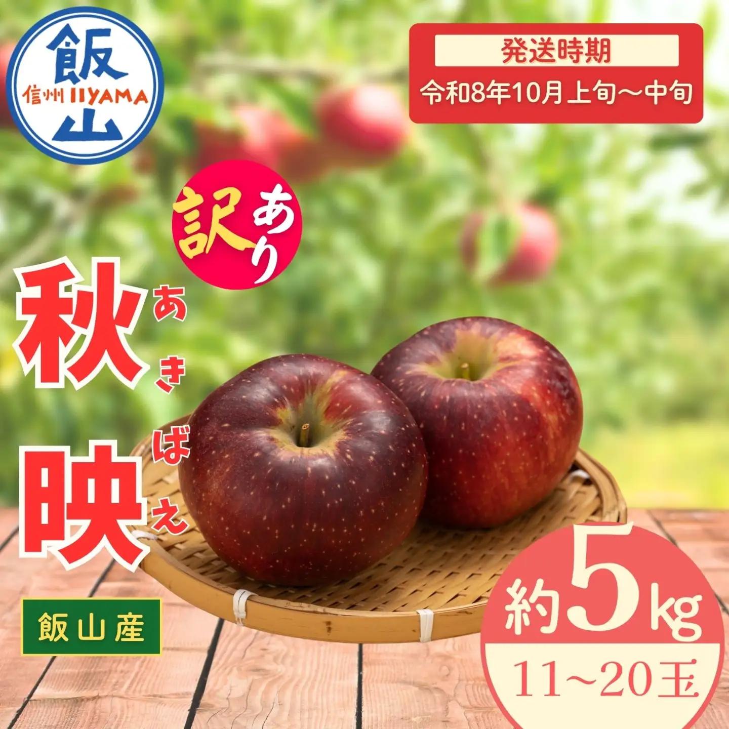 【訳あり】りんご 秋映 約5kg（11～20玉）2026年10月上旬より発送 先行予約 | リンゴ At-018