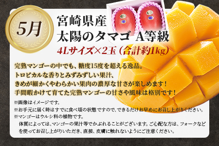 ★定期便★期間限定＜ 太陽のタマゴ を 肉 ではさんだ 超 贅沢 な3か月定期便＞2025年4月から第１回目を出荷【 肉 牛 牛肉 和牛 黒毛和牛 マンゴー 完熟マンゴー 数量限定 先行予約 -】