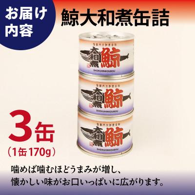 ふるさと納税 泉佐野市 鯨大和煮缶詰 3缶セット 鯨肉 赤身(非常食・長期保存) 005A756 |  | 03