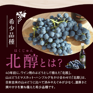 美味しい上山・山ぶどうジュース（原液）６００ｍｌ×２本　0140-2406