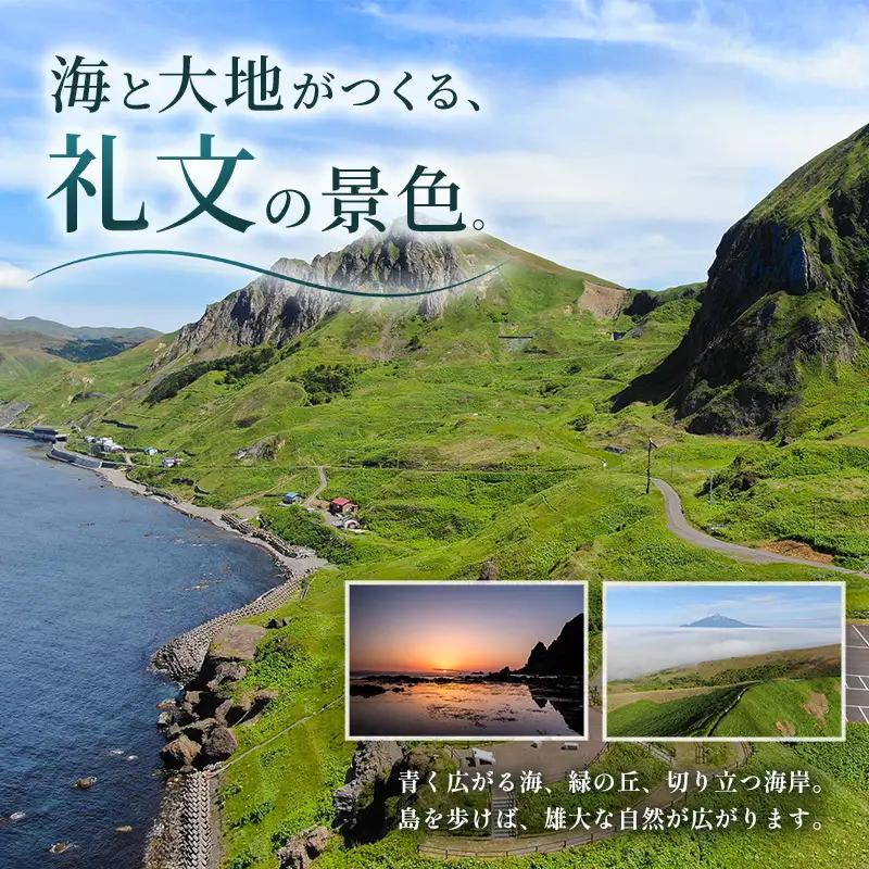 【返礼品なし】北海道 礼文町 ふるさと応援寄附金 50,000円コース ［北海道礼文町］【 寄附のみ 応援 支援 礼文島 地域貢献 自然保護 地方創生 まちづくり ふるさと納税 】