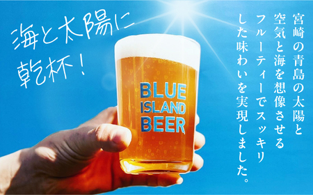 青島サーフエール6本セット 青島 ビール クラフトビール