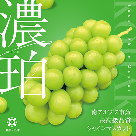 
            ＜2025年発送分先行予約＞山梨県南アルプス市産シャインマスカット　濃珀【～KOHAKU～】約1.2ｋｇ　2～3房入り ALPAH025
          