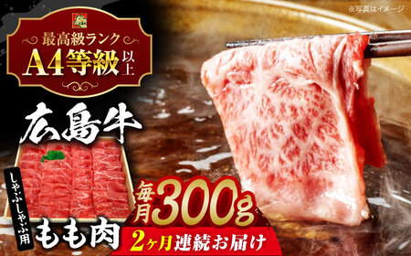 【全2回定期便】広島牛 もも肉 しゃぶしゃぶ用[APAZ065] 肉 肉 肉 肉 肉