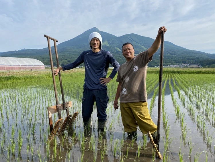 【令和7年度産 新米】 つちや農園 猪苗代町産 玄米 特別栽培米ひとめぼれ 5kg（玄米）| お米 米 ひとめぼれ ※2025年11月上旬頃より順次発送予定