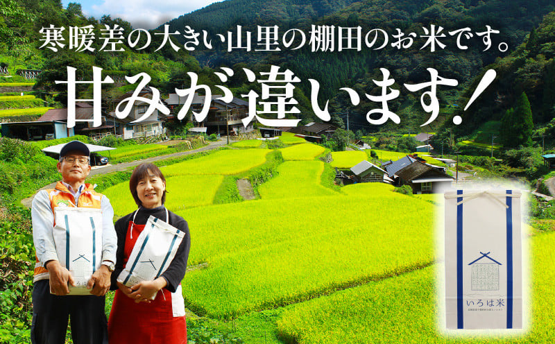 【定期便】宮崎県高千穂町[秋元産］いろは米　棚田米　白米　新米　ひのひかり　5㎏×6ヶ月　合計30kg　T-1