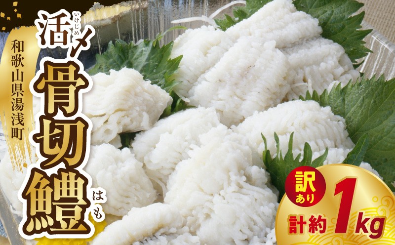 
                  訳あり 業務用 活〆 骨切 鱧 約 1kg 国産 紀伊水道産 3～5匹 加熱用 骨切り済み 天ぷら 湯引き 鱧鍋 ハモ料理 旨み 甘み コク 海鮮 魚介類 魚介 料理食材 国産鱧 冷凍 産地直送 和歌山県 湯浅町 送料無料 _SD1009
                