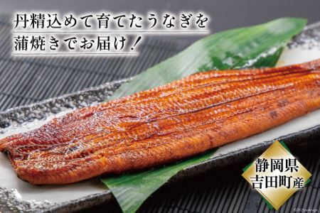 うなぎ 国産 蒲焼 2尾 うなぎ(150g以上)